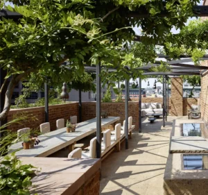 The large terrace dining table and wisteria growth with the tribeca sky showing through in the background