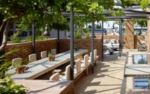 The large terrace dining table and wisteria growth with the tribeca sky showing through in the background