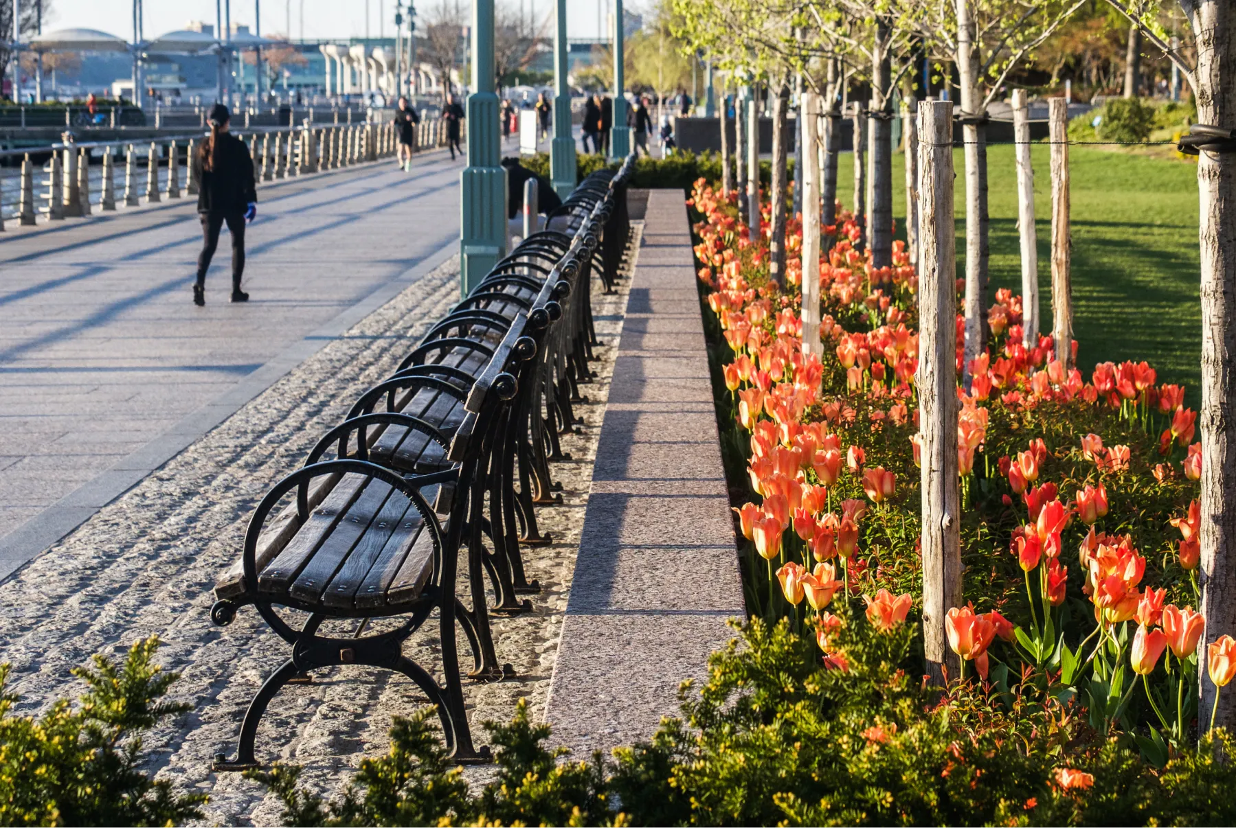 Photo of flowers, benches and the hudson river greenway