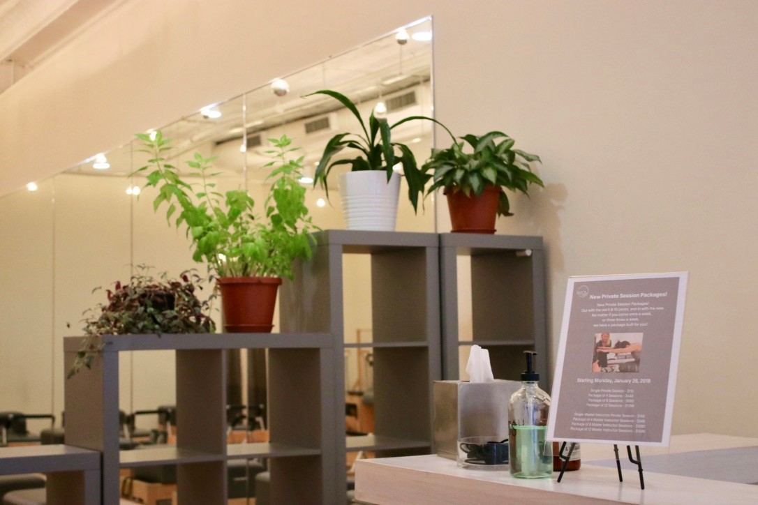 Plants and the reception area at Real Pilates